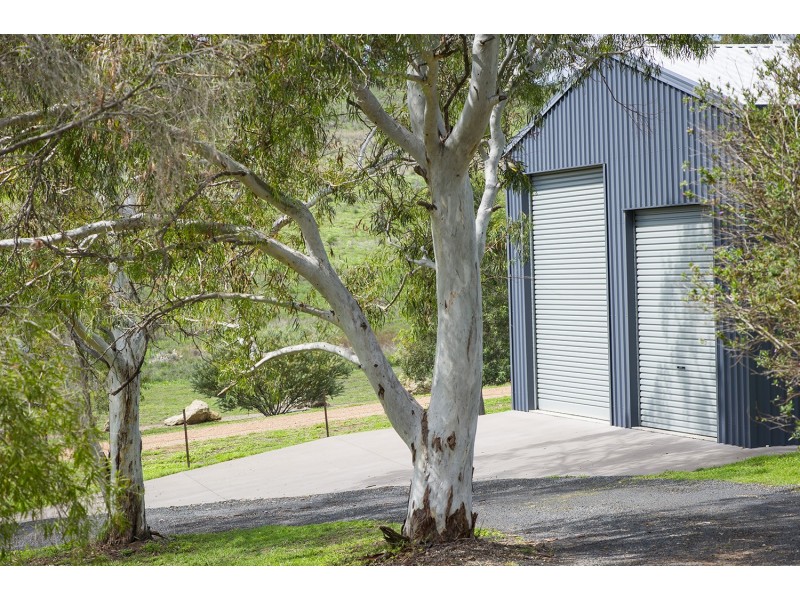 133 Coal Road, Muswellbrook NSW 2333