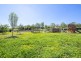 102 Allan Cunningham Road, Scone NSW 2337