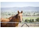102 Allan Cunningham Road, Scone NSW 2337