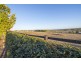 102 Allan Cunningham Road, Scone NSW 2337