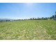 102 Allan Cunningham Road, Scone NSW 2337