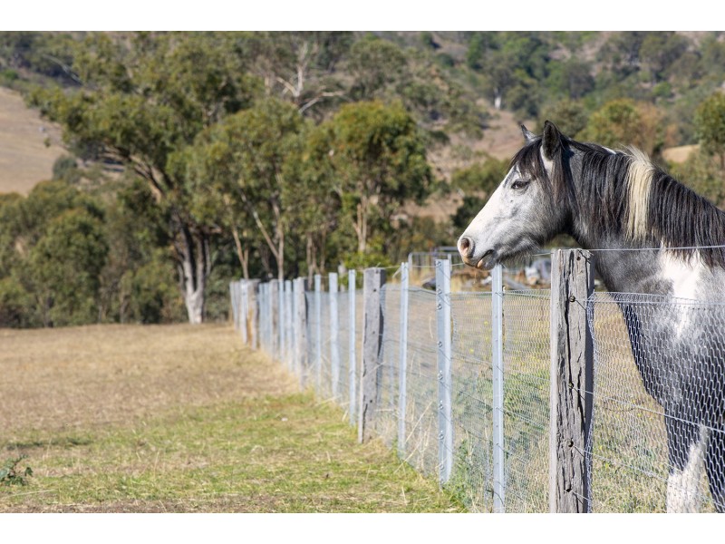61 Dolahentys Branch Road, Mccullys Gap NSW 2333