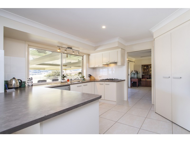 61 Dolahentys Branch Road, Mccullys Gap NSW 2333