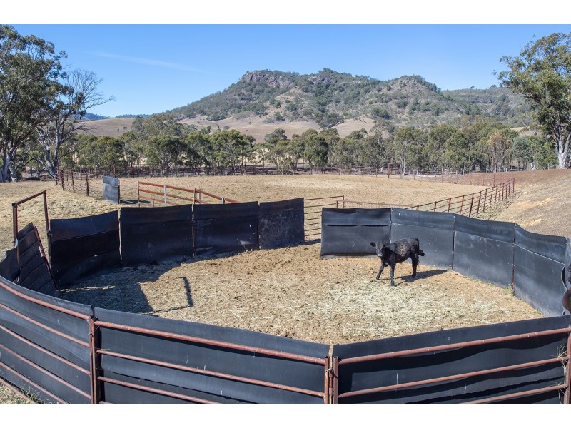 61 Dolahentys Branch Road, Mccullys Gap NSW 2333