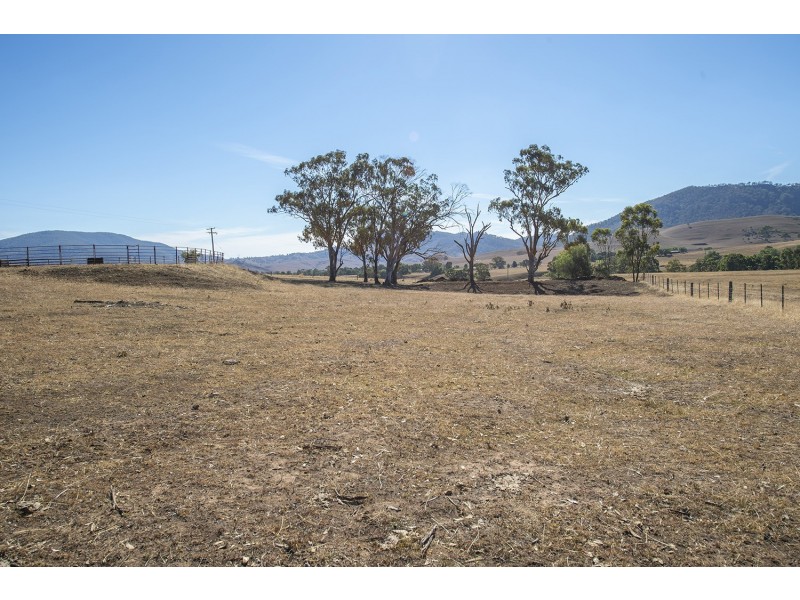 61 Dolahentys Branch Road, Mccullys Gap NSW 2333