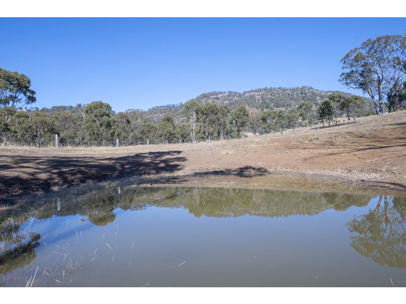 61 Dolahentys Branch Road, Mccullys Gap NSW 2333