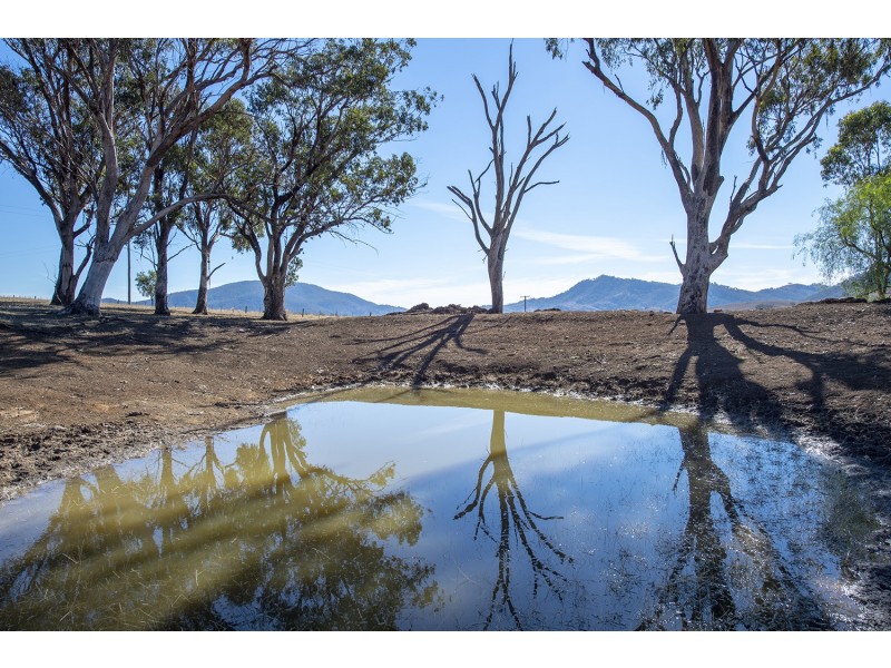 61 Dolahentys Branch Road, Mccullys Gap NSW 2333