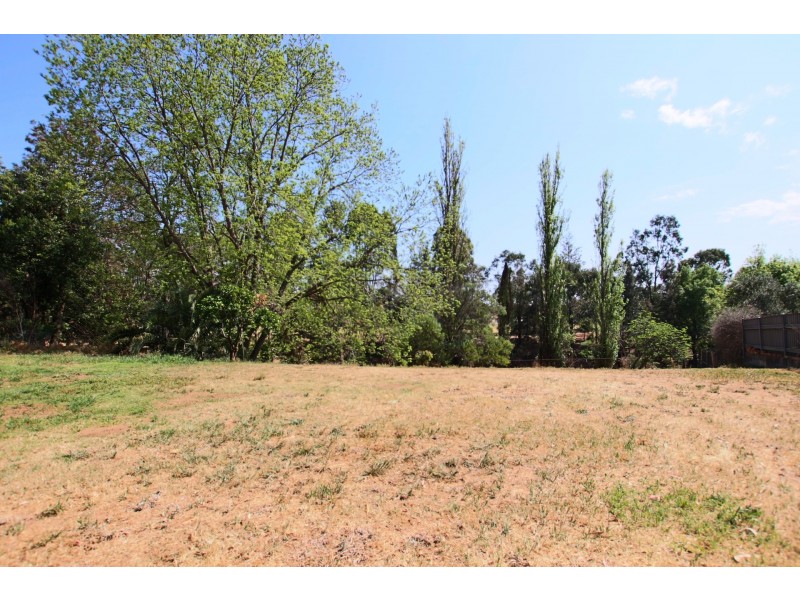 9 Clifford Street, Muswellbrook NSW 2333