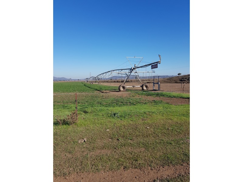 769 Roxburgh Road, Mangoola NSW 2328