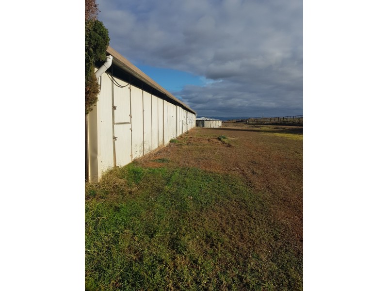 769 Roxburgh Road, Mangoola NSW 2328