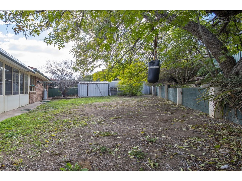 49 Woollybutt Way, Muswellbrook NSW 2333