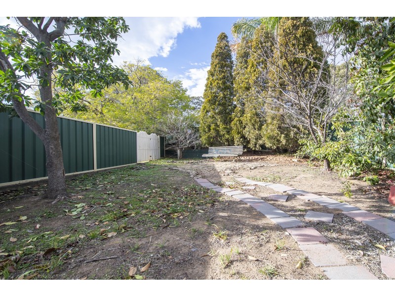 49 Woollybutt Way, Muswellbrook NSW 2333