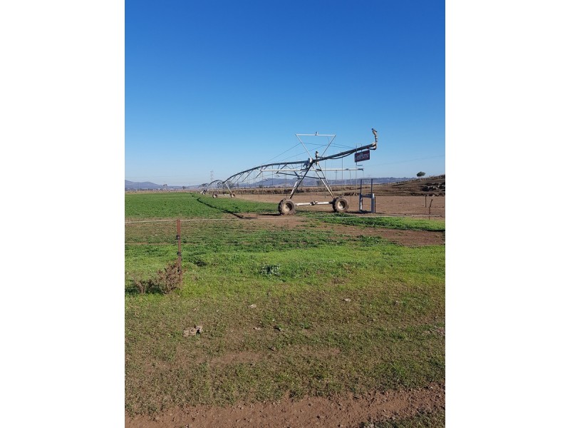 769 Roxburgh Road, Mangoola NSW 2328