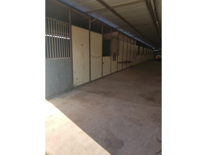 769 Roxburgh Road, Mangoola NSW 2328