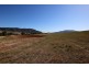 Lot 225 Sandy Creek Road, Mccullys Gap NSW 2333