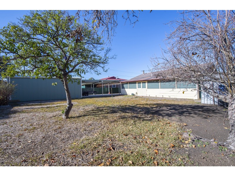 20 Bingle Street, Scone NSW 2337