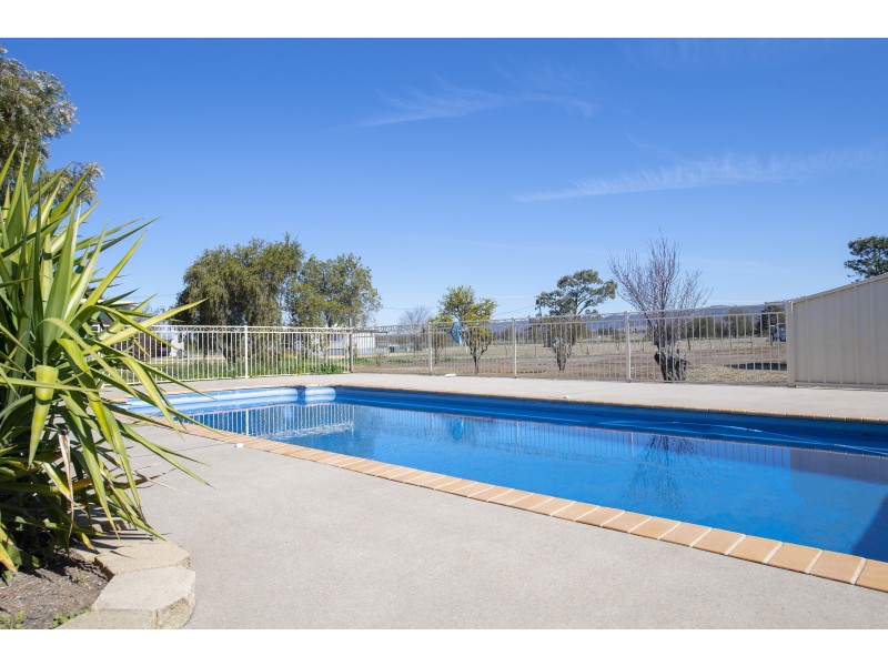 161 Allan Cunningham Road, Scone NSW 2337