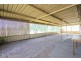 161 Allan Cunningham Road, Scone NSW 2337