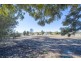 161 Allan Cunningham Road, Scone NSW 2337