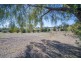 161 Allan Cunningham Road, Scone NSW 2337