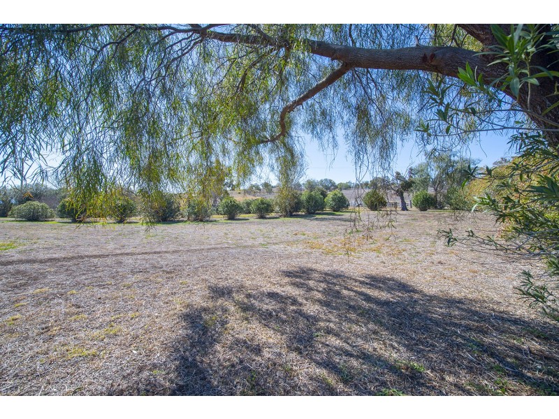 161 Allan Cunningham Road, Scone NSW 2337