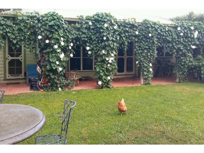 48 Scott Street, Scone NSW 2337