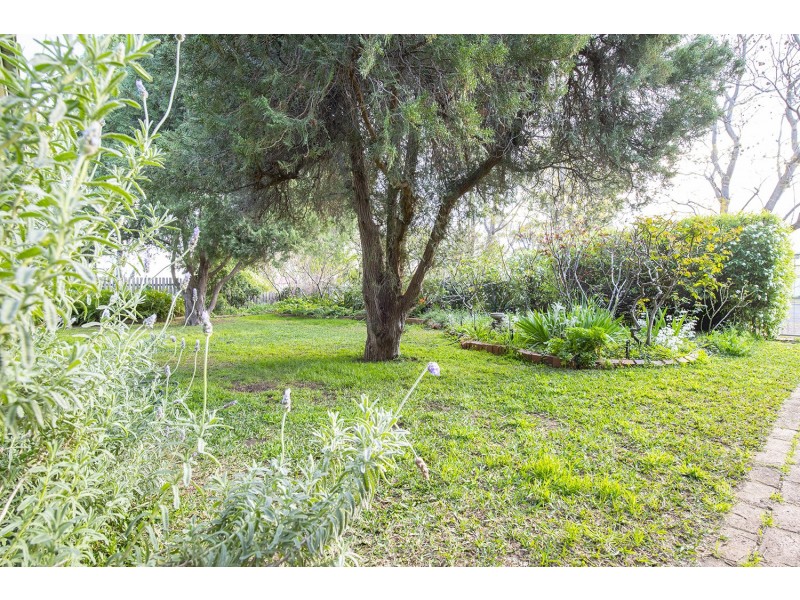 48 Scott Street, Scone NSW 2337