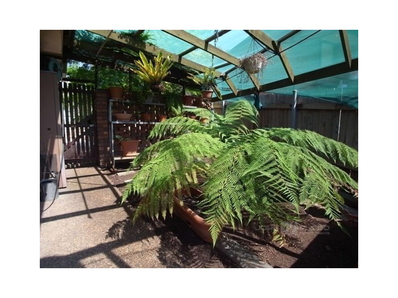 21 Towarri Street, Muswellbrook NSW 2333