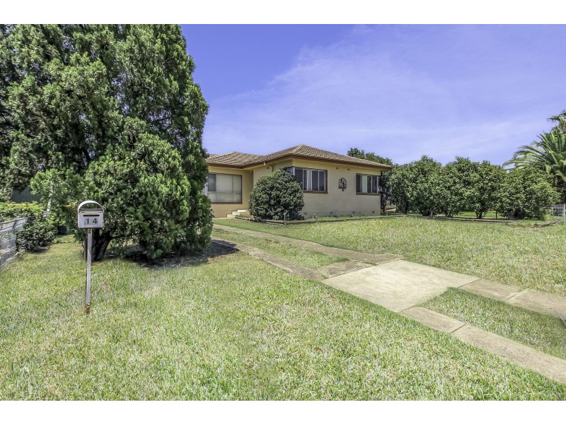 14 Thompson Street, Muswellbrook NSW 2333