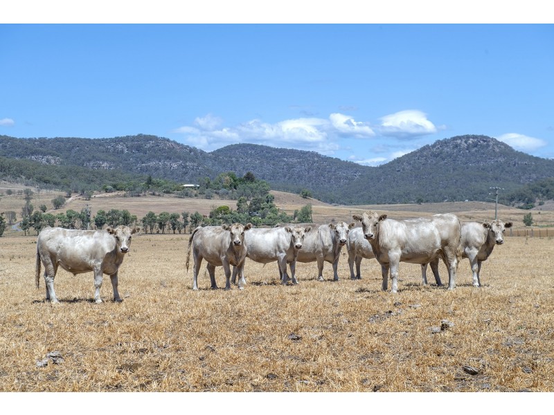 570 Bureen Road, Denman NSW 2328