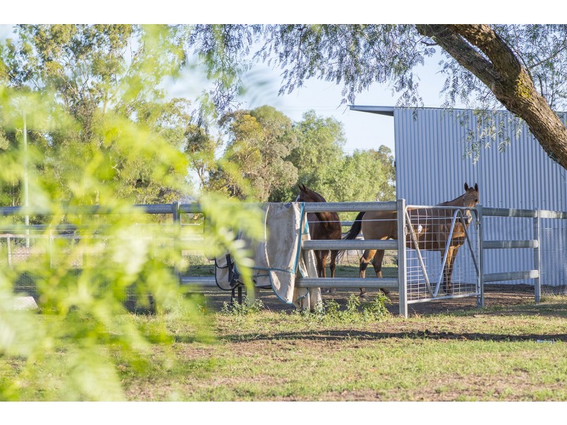 46 Mareeba Road, Parkville NSW 2337