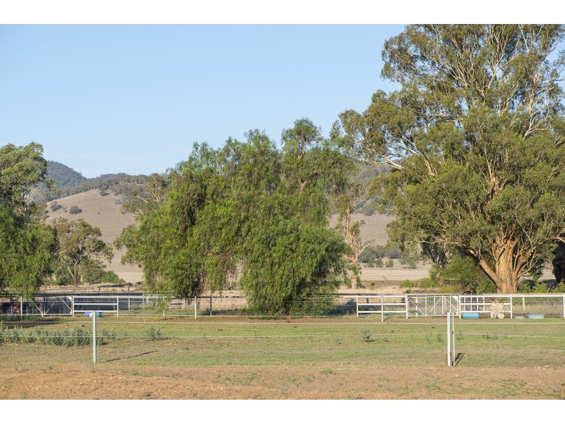 46 Mareeba Road, Parkville NSW 2337