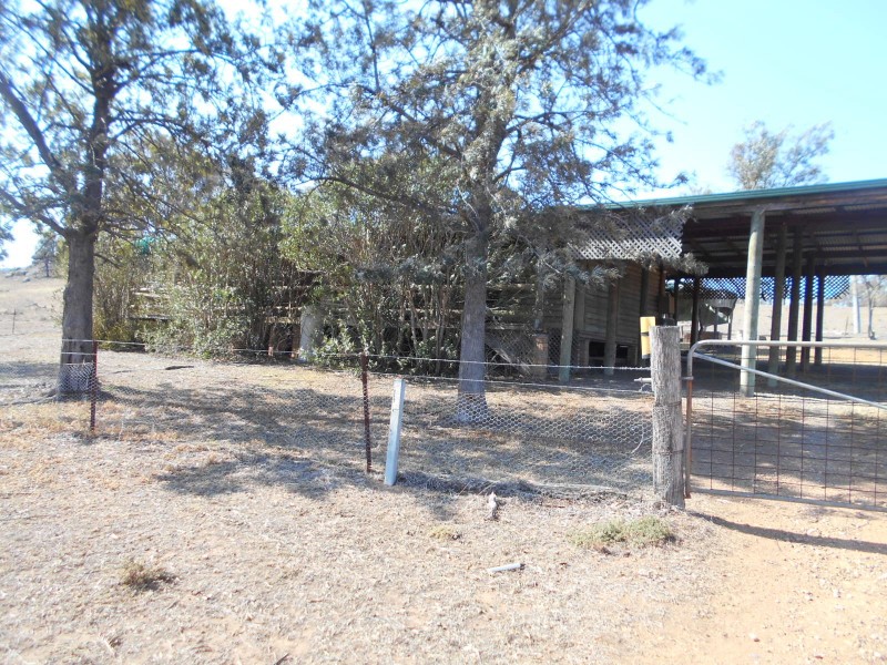 Muswellbrook NSW 2333