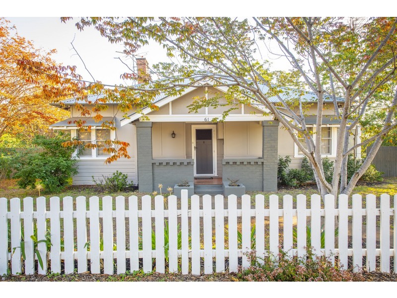 61 Park Street, Scone NSW 2337