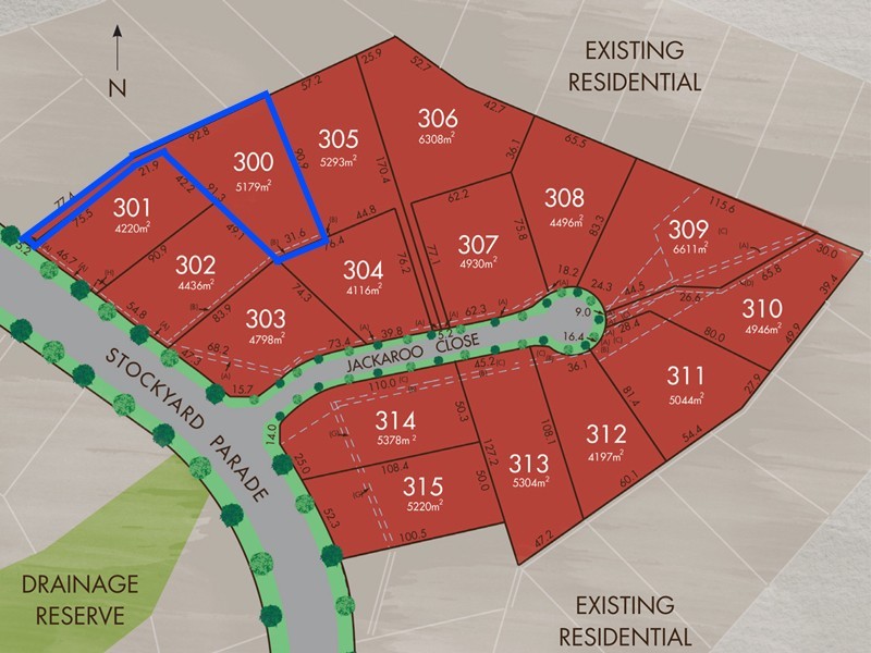300/36 Stockyard Parade, Muswellbrook NSW 2333