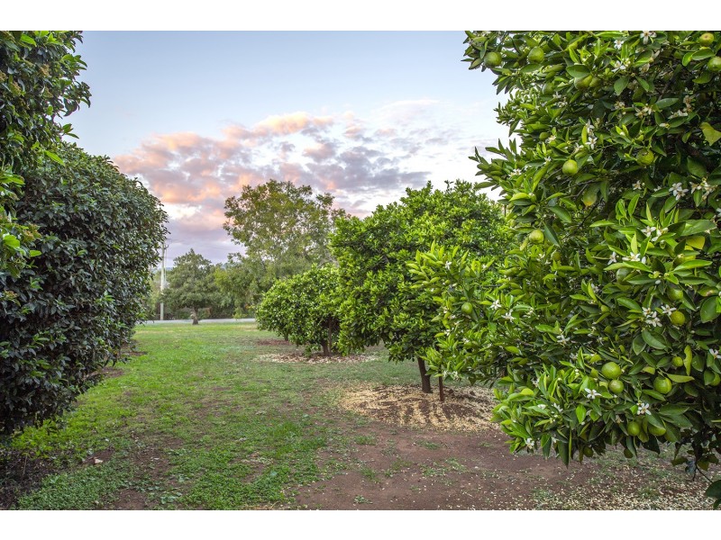 35 Gray Street, Scone NSW 2337