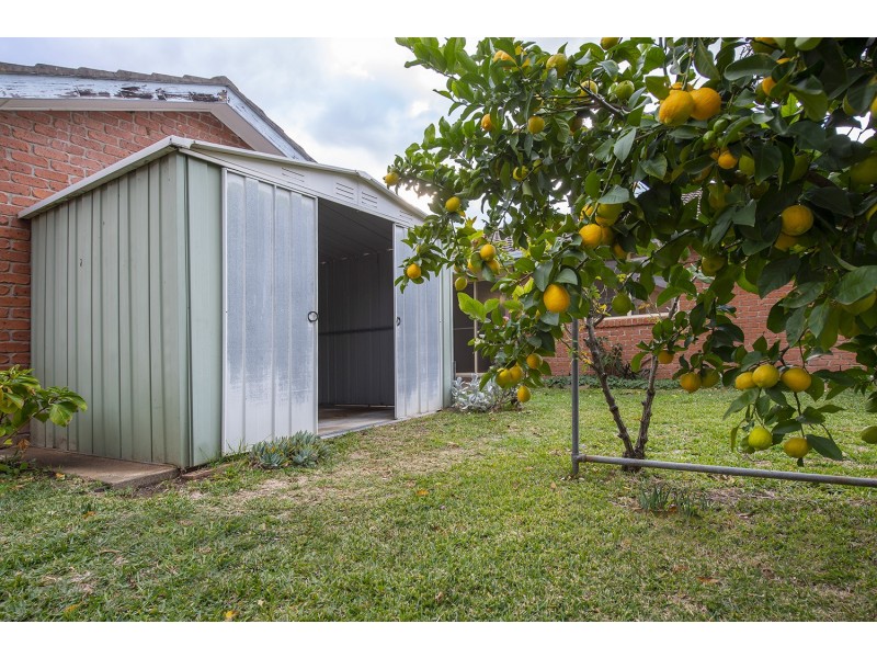 14 Nyarra Street, Scone NSW 2337