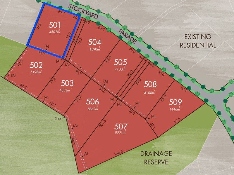 501/37 Stockyard Parade, Muswellbrook NSW 2333