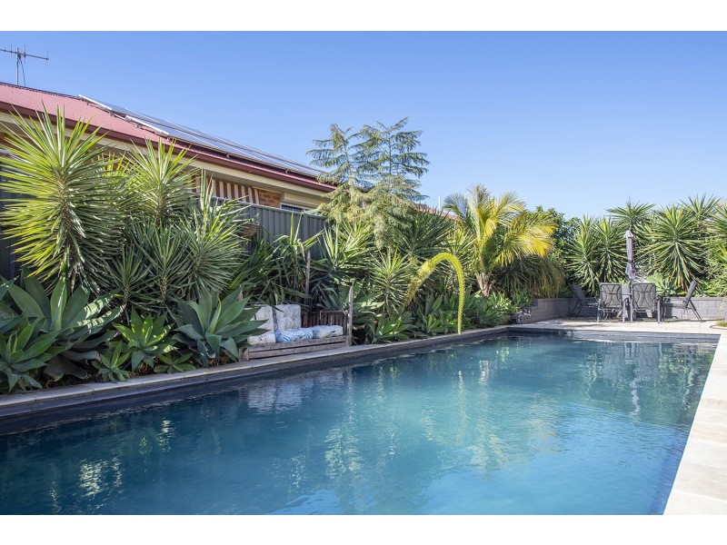 6 Edinglassie Drive, Muswellbrook NSW 2333