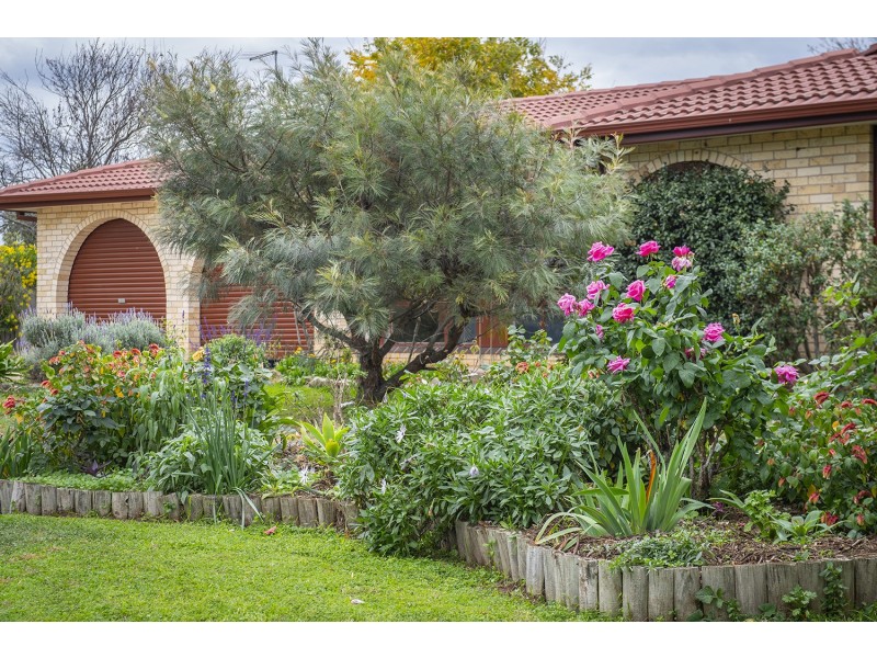 16 Davies Street, Scone NSW 2337