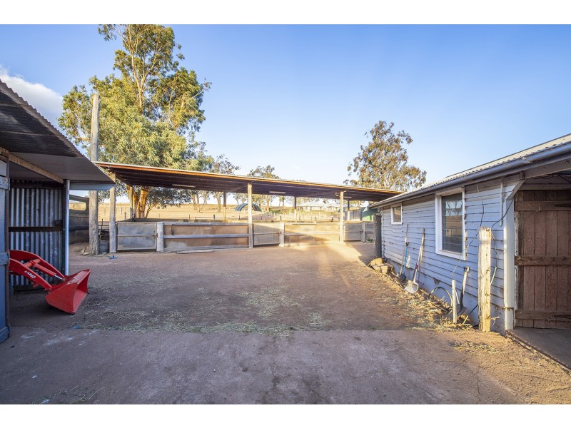 381 Cliftlands Road, Scone NSW 2337