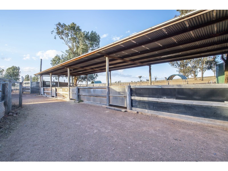 381 Cliftlands Road, Scone NSW 2337