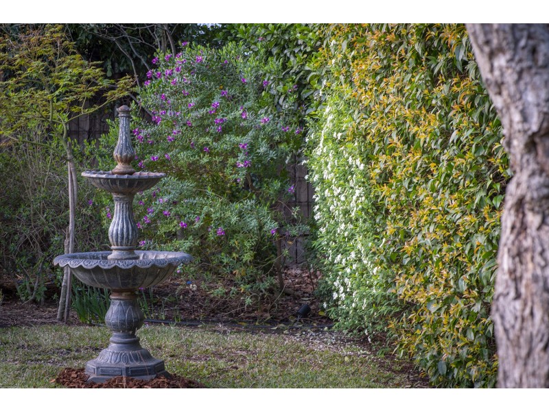 42 Waverley Street, Scone NSW 2337