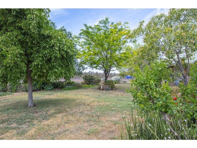 9 Allan Cunningham Road, Scone NSW 2337