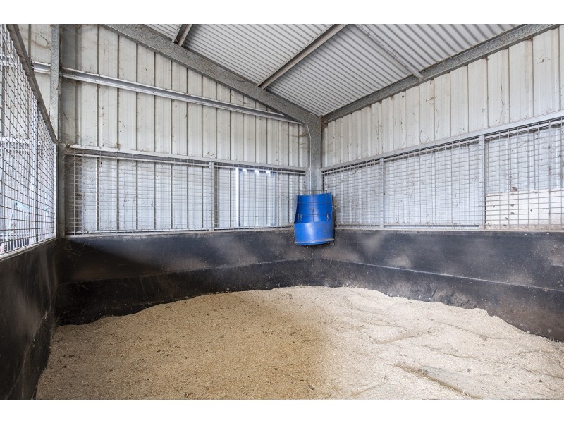 9 Allan Cunningham Road, Scone NSW 2337