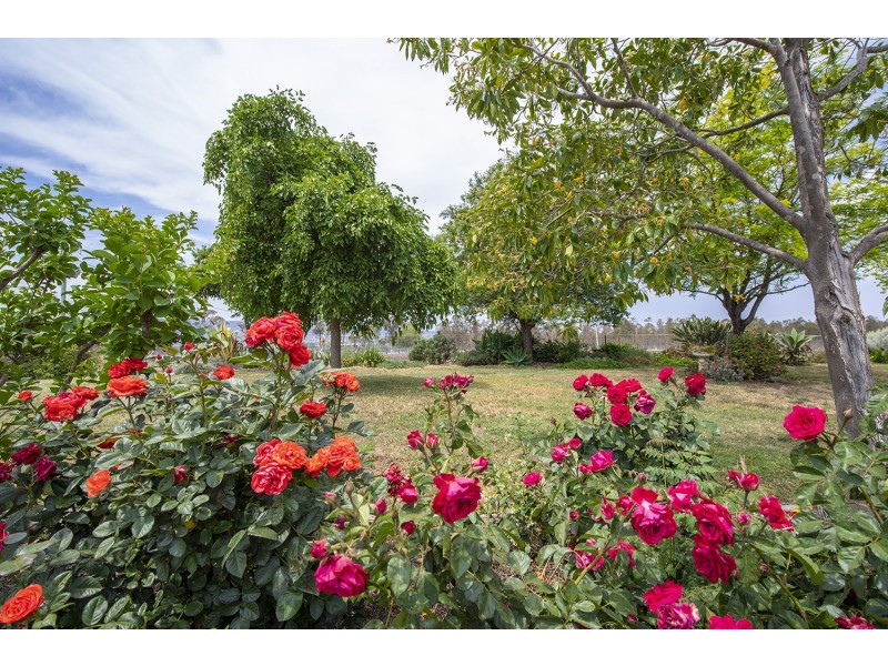 9 Allan Cunningham Road, Scone NSW 2337