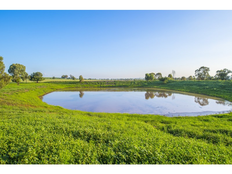 2022 New England Highway, Scone NSW 2337