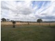 150 Halls Road, Aberdeen NSW 2336