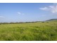 Lot 321 Bunnan Road, Scone NSW 2337