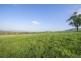 Lot 321 Bunnan Road, Scone NSW 2337